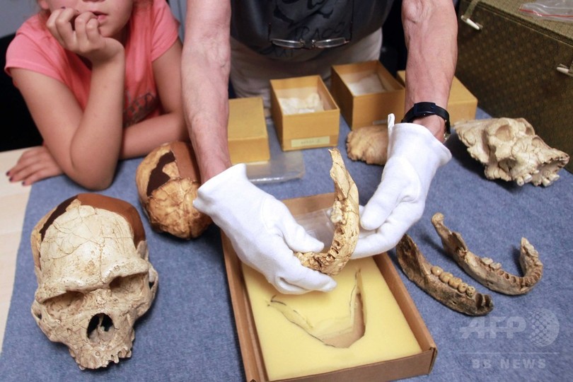 人類の進化、古代の調理器具で加速か 研究 人類の進化、古代の調理器具で加速か 研究