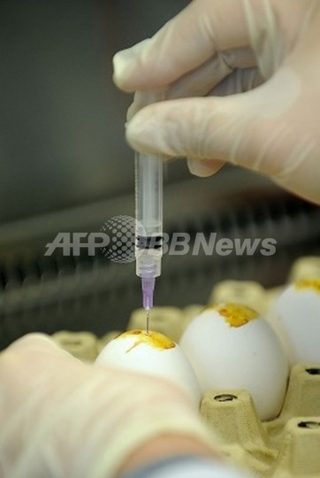 アジア型と豚インフルエンザ、再び大流行の恐れ 米科学者 アジア型と豚インフルエンザ、再び大流行の恐れ 米科学者