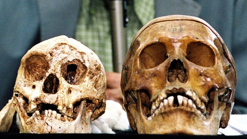「ホビット」はホモ・サピエンスではない、仏研究 「ホビット」はホモ・サピエンスではない、仏研究