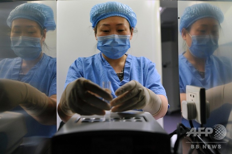 中国の未婚女性も気になる、卵子の凍結 国外での方法を模索 中国の未婚女性も気になる、卵子の凍結 国外での方法を模索