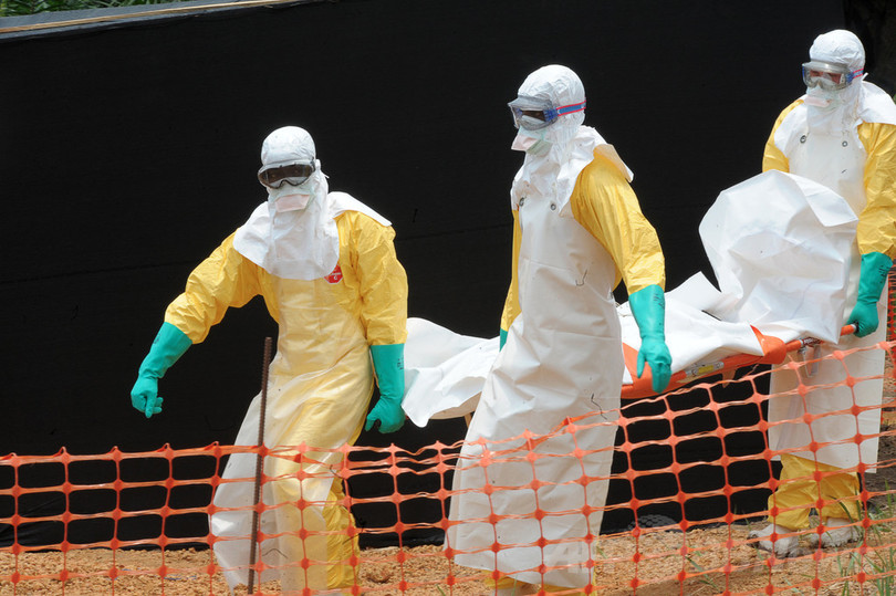 西アフリカのエボラ出血熱、「もはや制御不能」 MSF 西アフリカのエボラ出血熱、「もはや制御不能」 MSF