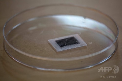 タコの足がヒント、画期的な強力「吸着パッド」開発 韓国 タコの足がヒント、画期的な強力「吸着パッド」開発 韓国
