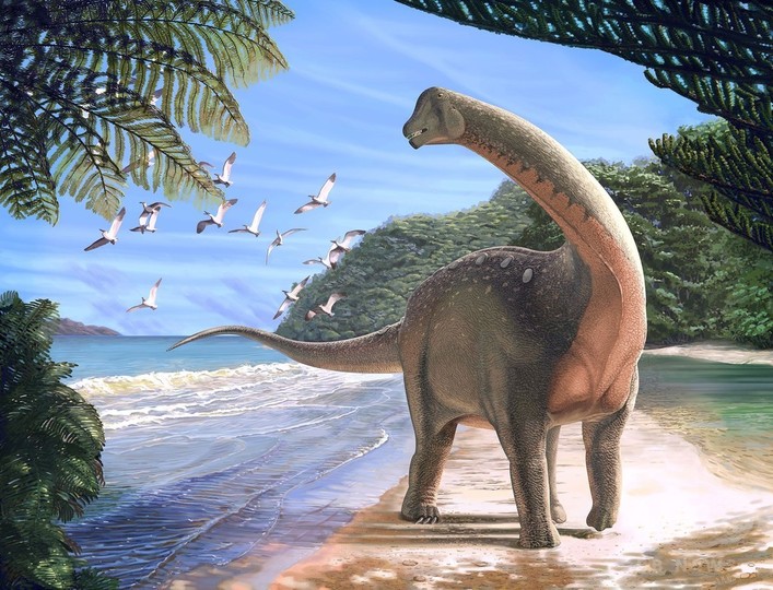エジプトで発見の新種恐竜、アフリカと欧州を移動していた可能性 研究 エジプトで発見の新種恐竜、アフリカと欧州を移動していた可能性 研究