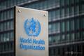 WHO、薬剤耐性菌の急増に警鐘 「軽傷でも致命的に」