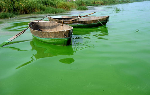 中国太湖、汚染された排水に最大15億円の罰金