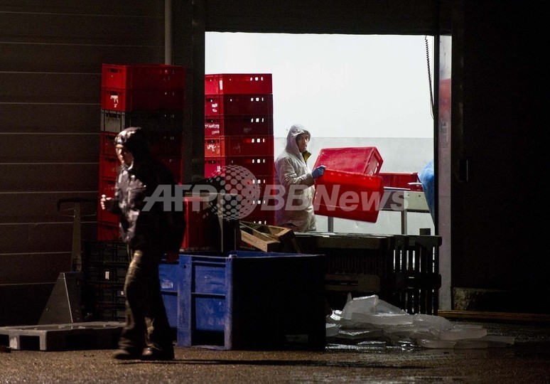 牛肉5万トンに馬肉混入の可能性、オランダ当局 牛肉5万トンに馬肉混入の可能性、オランダ当局