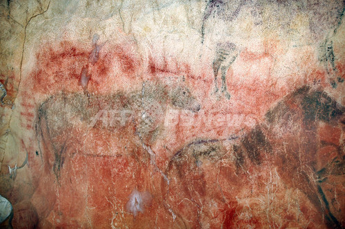 スペインの洞窟壁画、ネアンデルタール人が描いた可能性 スペインの洞窟壁画、ネアンデルタール人が描いた可能性