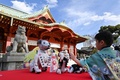 東京都内の神田明神で行われた「アイボの七五三」で展示されたアイボ（2021年11月12日撮影）。(c)Kazuhiro NOGI / AFP