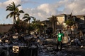 山火事で被災した米ハワイ州マウイ島ラハイナ（2023年8月12日撮影）。(c)Yuki IWAMURA / AFP