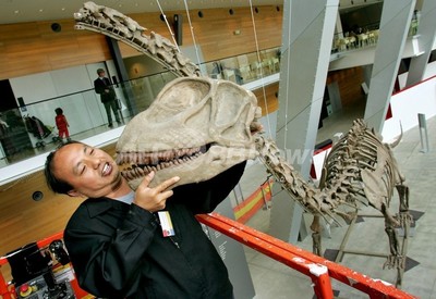 首の長い恐竜 上より横に首伸ばす 英研究 写真2枚 国際ニュース Afpbb News 首の長い恐竜 上より横に首伸ばす 英研究 写真2枚 国際ニュース Afpbb News