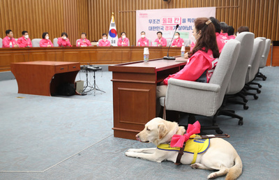 韓国国会、盲導犬の入場許可へ これまで「妨害物や食べ物」禁止で認めず