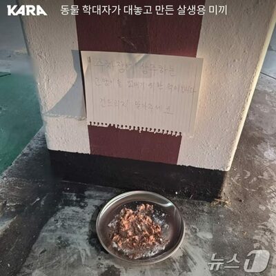 「野良猫がバイクのシートを汚した」…化学物質混ぜた餌を仕掛けた韓国男性