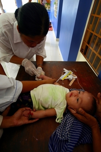 アジア太平洋地域のデング熱に警戒を、WHO