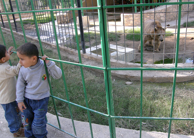 イラク・バグダッドの日常風景