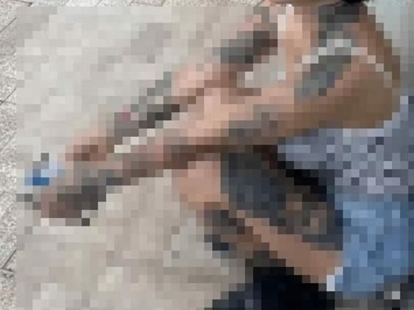 オンラインコミュニティーに投稿された写真(c)news1