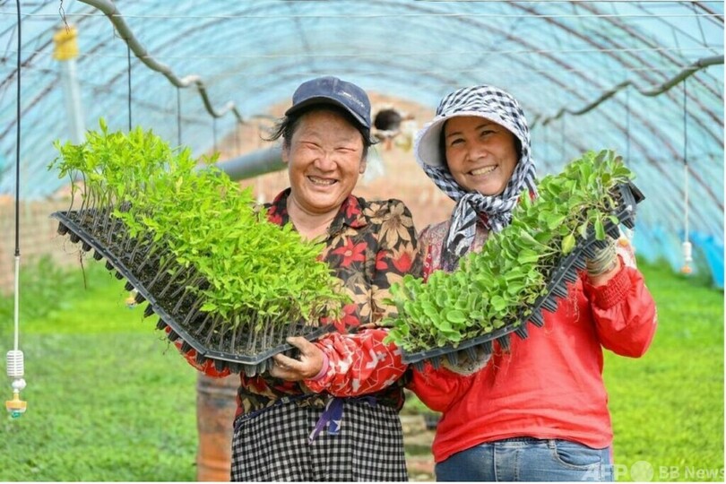 施設農業、広大なゴビでの栽培の難題を解決