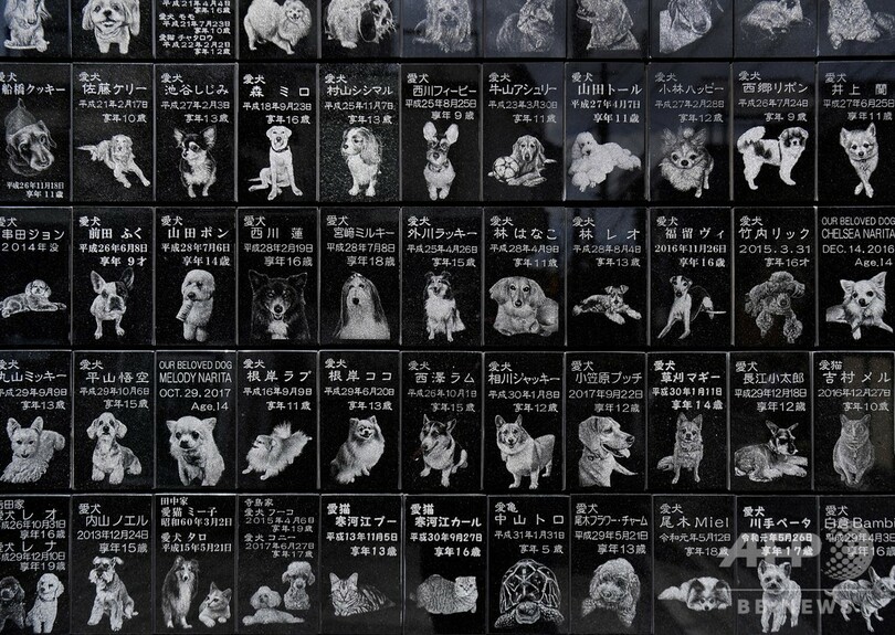 【今日の1枚】愛した証し、碑に刻み