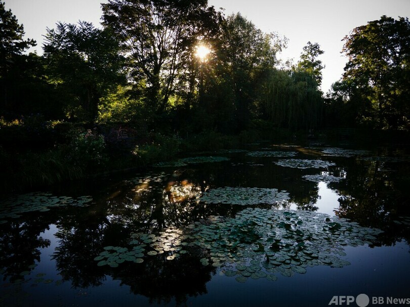 【今日の1枚】名画を生んだ場所、曙光のモネ庭園