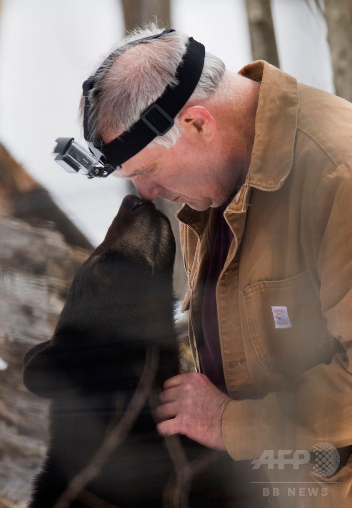 親を失った子グマを保護し野生に返す、クマに人生ささげた米男性