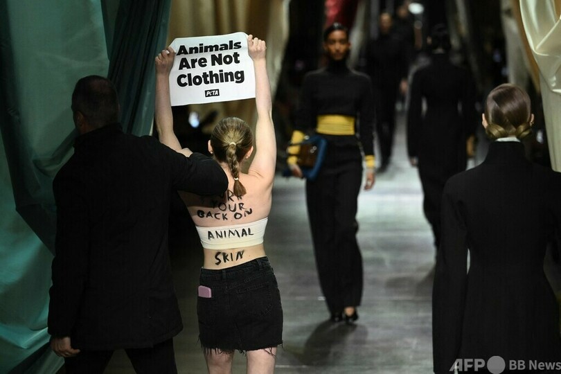 反毛皮団体、フェンディのショー乱入 マックスマーラにも圧力