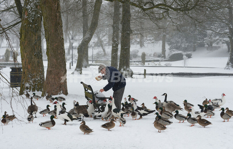 英中部で大雪、一面真っ白に