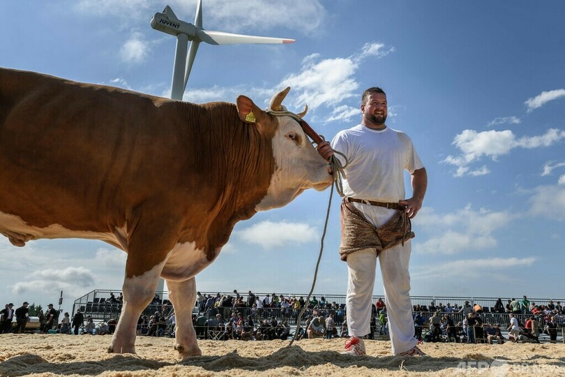 力と技の大熱戦、競技団体100周年でスイス相撲大会