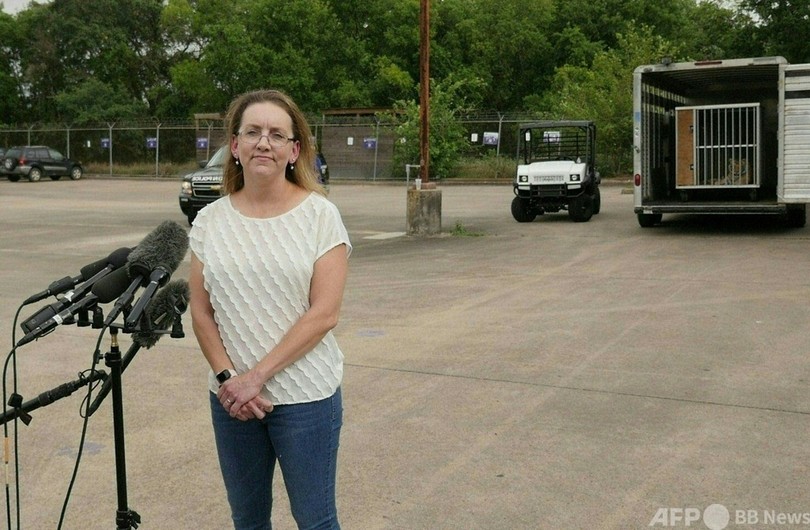 米ヒューストン住宅街をトラがうろうろ…1週間後に警察が保護