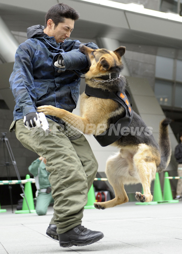 洞爺湖サミット目前、六本木ヒルズで警察犬の訓練