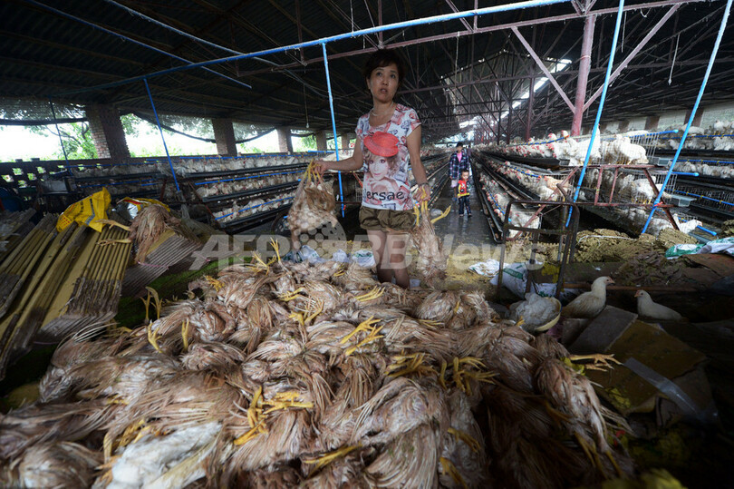 中国で記録的な大雨、37人死亡