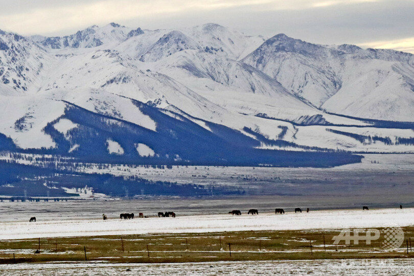 初夏の草原が雪化粧 中国・新疆ハミ
