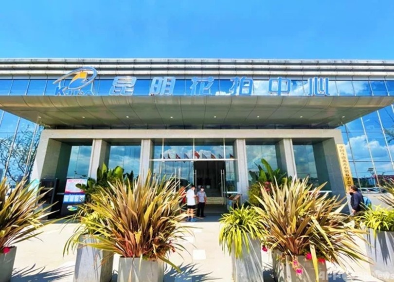 中国の切り花購入は平均1人30本/日に アジア最大の花卉市場を訪ねる 昆明市