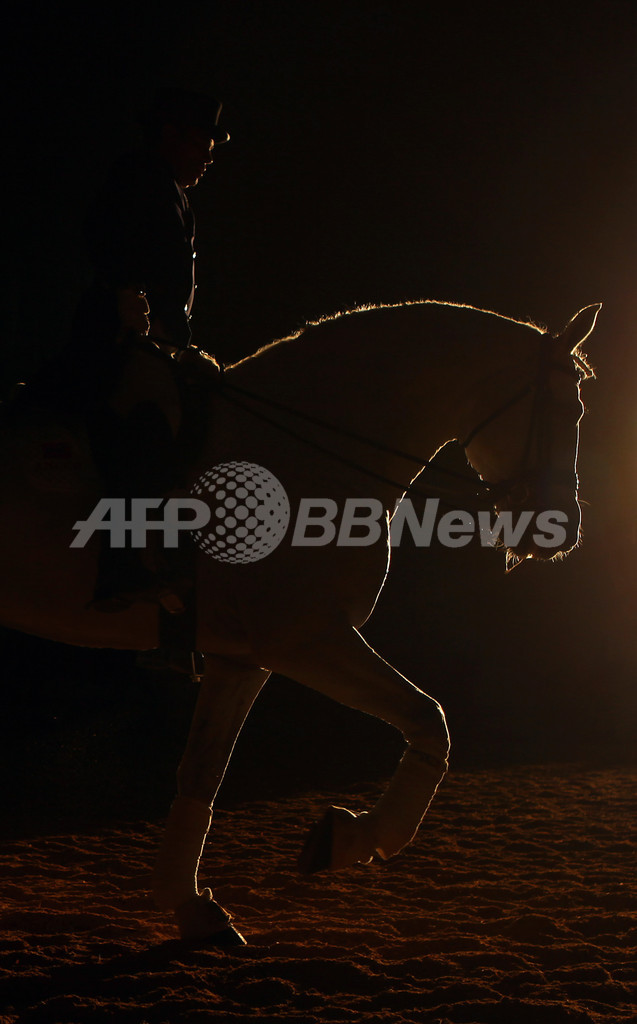 スペインで馬の見本市、多数の名馬が登場