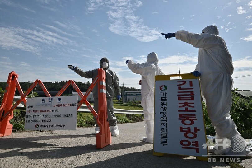 韓国、4例目のアフリカ豚コレラ感染確認 北朝鮮に協力呼び掛けも返答なし