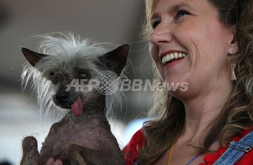 900万円以上の寄付金集めた「世界一醜い犬」が死去、米国