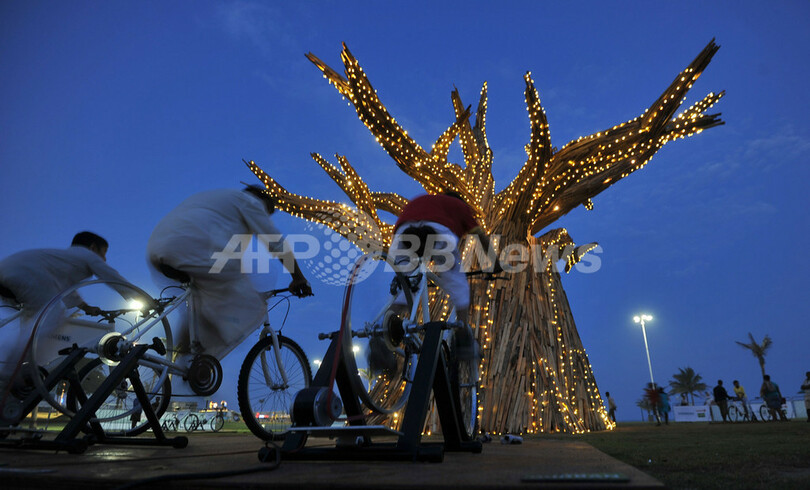 自転車発電でバオバブの木をライトアップ、南アフリカ