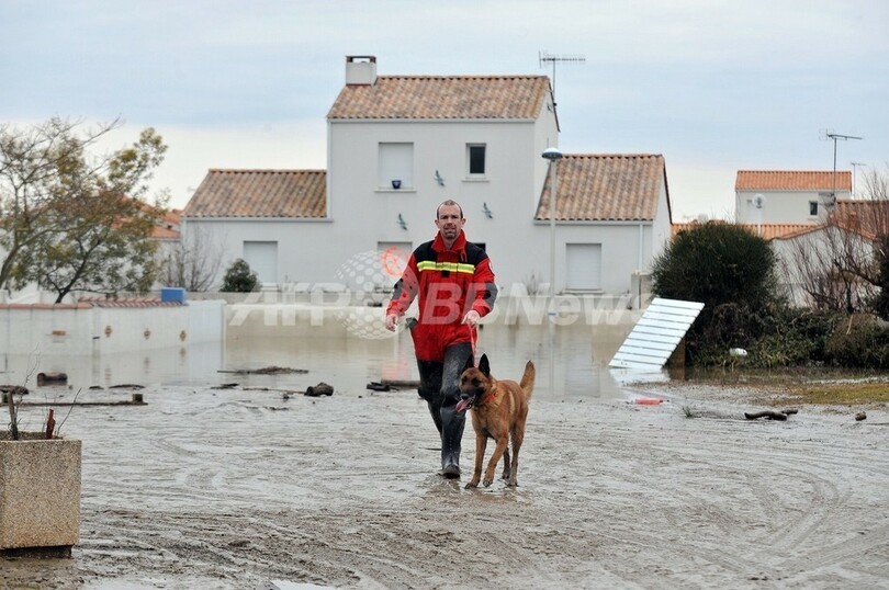 ハリケーン級暴風雨のつめ跡、フランス