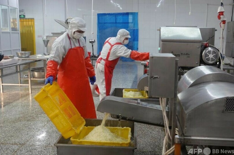 内外の異なる市場基準に対応する生産ライン・中国