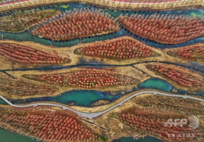 空から見る、江蘇省・淮安の白馬湖の冬景色