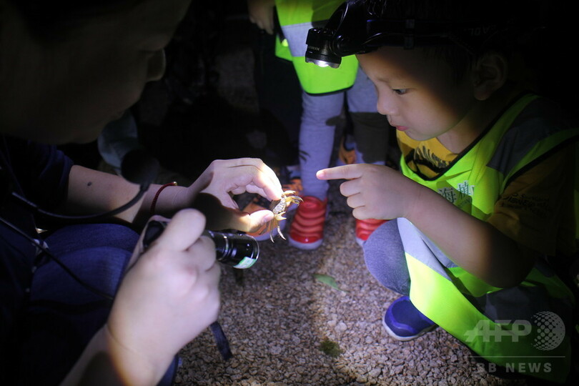 夜の植物園、妖精を探しに 上海の子どもたち