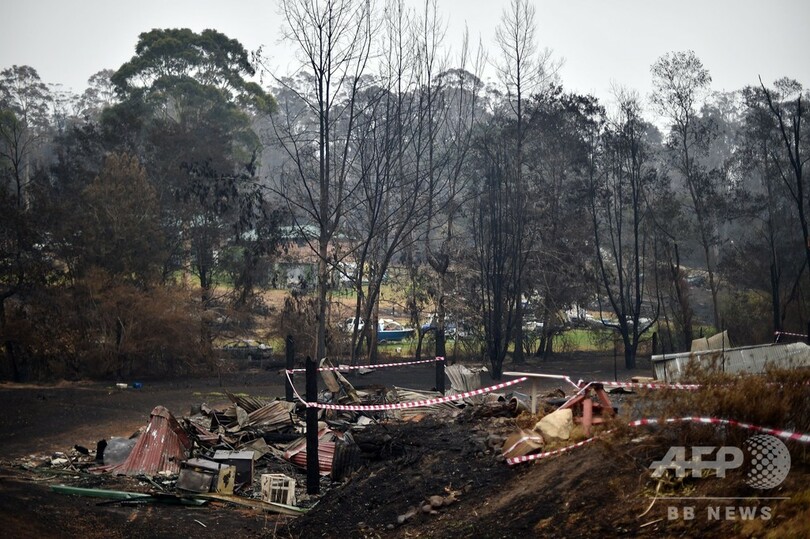 豪森林火災、消防隊が消火活動に奔走 熱波再来に備えて