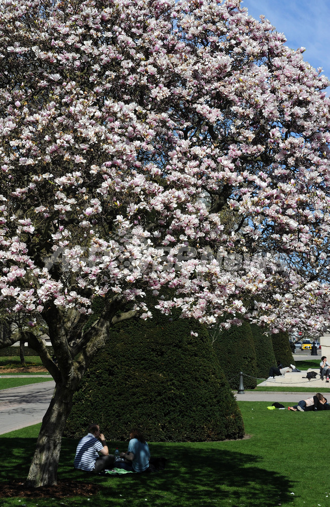 フランスは春を飛び越えて初夏の気候