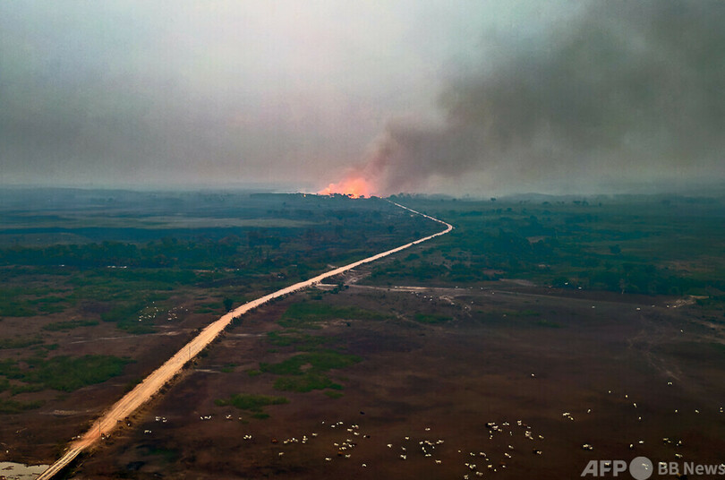 世界最大の熱帯湿原に非常事態 「制御不能の火災」 ブラジル
