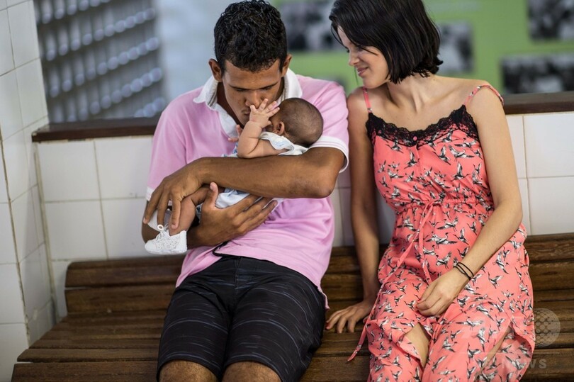 ジカ熱は「爆発的に拡大」 400万人感染の恐れ WHO