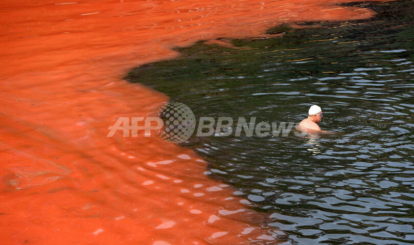 紅に染まるシドニーの海、藻の大量発生で一部のビーチ閉鎖