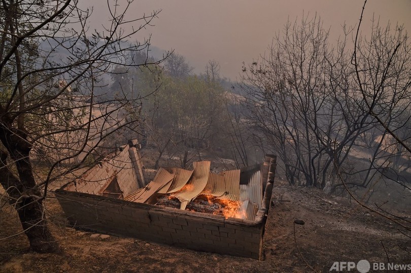 アルジェリアで山火事、少なくとも42人死亡 放火も