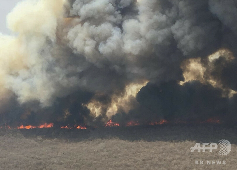 ボリビア東部の森林火災、豪雨で鎮火か 地元当局