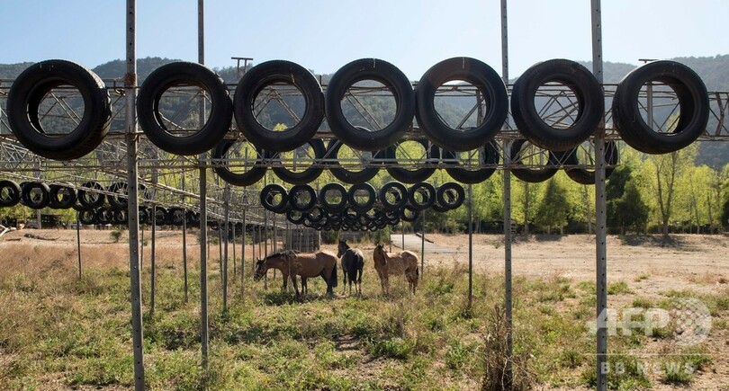 地図から消えた湖、気候変動と開発で干上がった避暑地 チリ