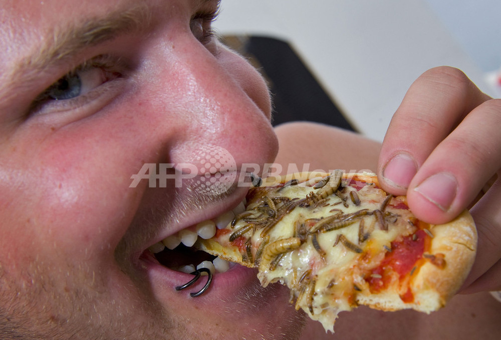 将来の食料危機を救うか 欧米で徐々に広がる 昆虫食 写真2枚 国際ニュース Afpbb News