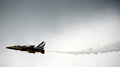 英南部のハンプシャー（Hampshire）で9日、ファンボロー国際航空ショー（Farnborough International Airshow）が開幕した。債務に苦しむ各国政府が軍事費を削減している中、今回のショーで発表される軍用機の大型契約は少ないとみられる。

写真は、デモ飛行する韓国の超音速高等訓練機「T50」（2012年7月9日撮影）。(c)AFP/ADRIAN DENNIS