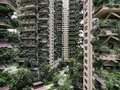 中国四川省成都で、植物に覆われた集合住宅のベランダ（2020年8月3日撮影）。(c)STR / AFP